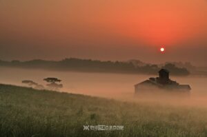 安城農場 anseong ranch