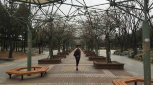 富川中央公園 bucheon central park