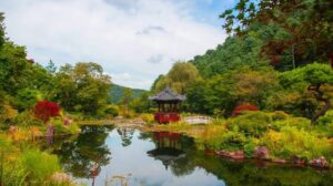 アチムコヨ樹木園 gapyeong morning calm