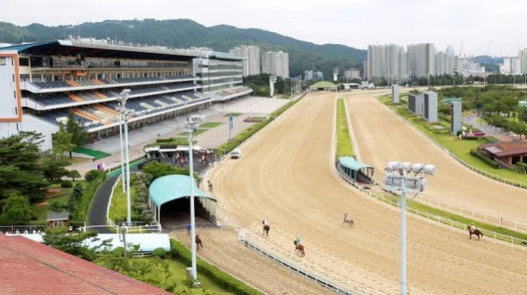 gwacheon letsrun park