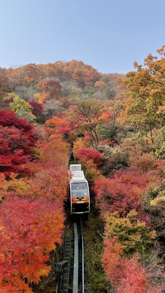 gwangjusi hwadam forest