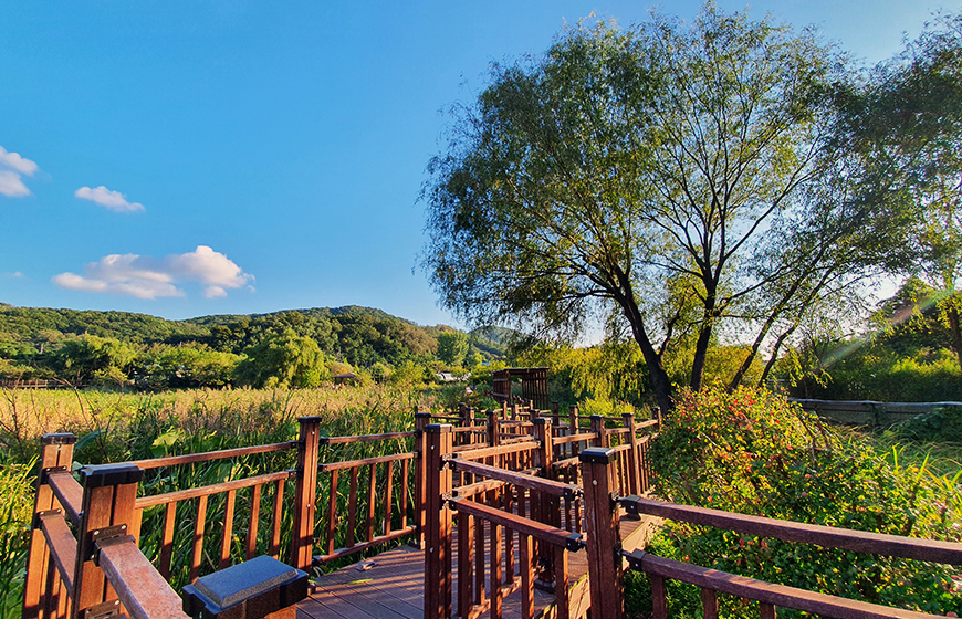 gwangmyeong citizen forest
