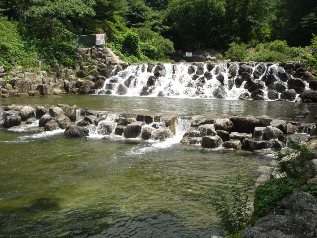 namyangju chukryeongsan forest