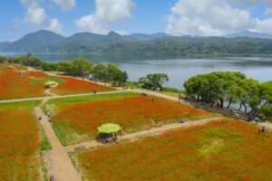物の庭園 namyangju water garden