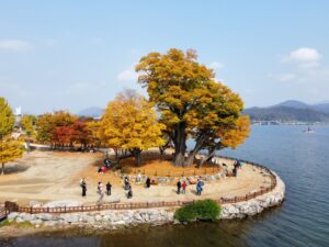 両水里(ドゥムルモリ) yangpyeong dumulmeori